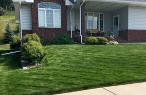 Front yard of a client with vibrant green grass