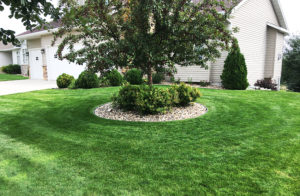 Landscaping with a lush lawn