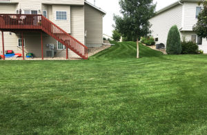 Perfectly maintained lawn