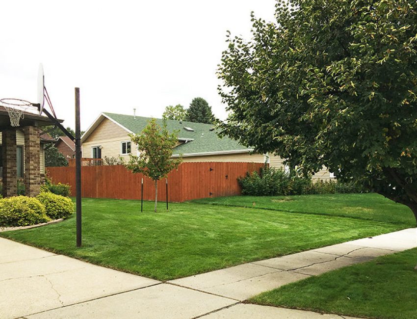 Front yard with a basketball court and deep green grass