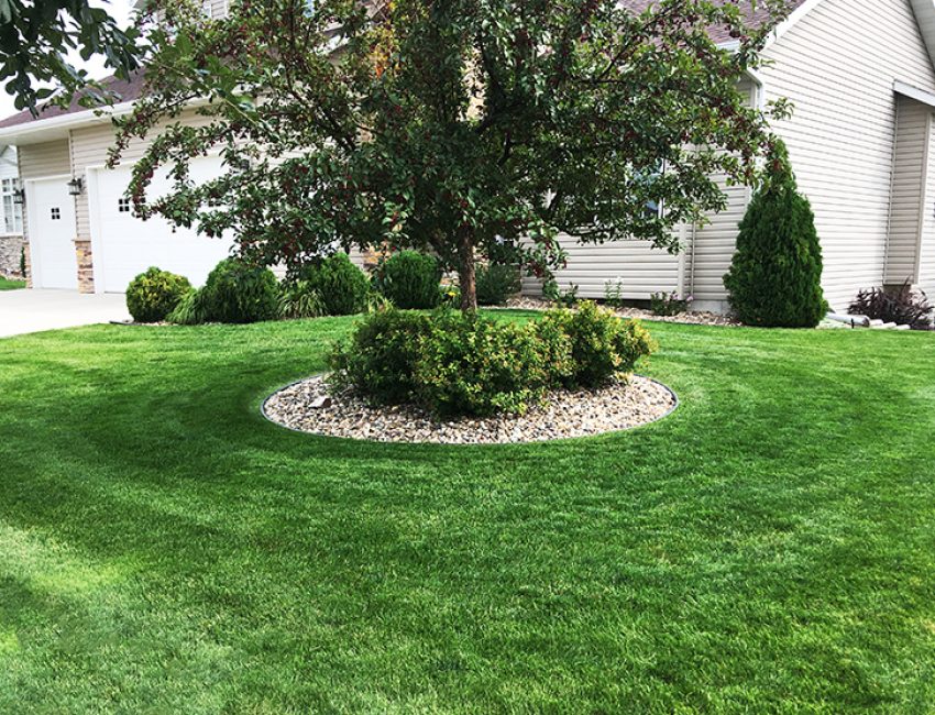 Landscaping with a lush lawn