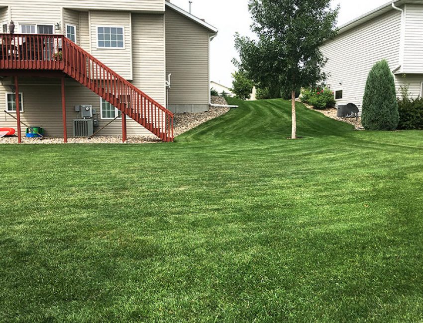 Perfectly maintained lawn